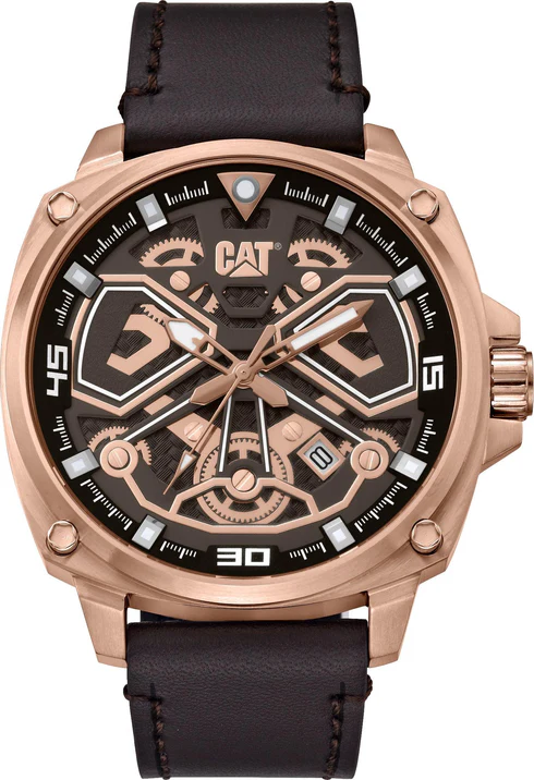 Tokyo Watch Rose Gold Dial w/Leather Strap